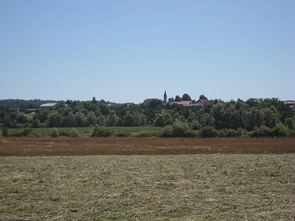 Dragatuš