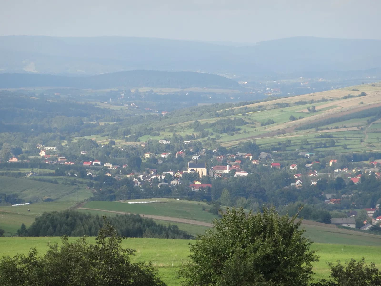 Bukowsko