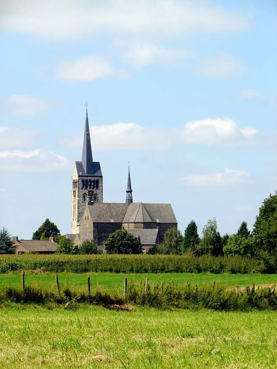 Schimmert