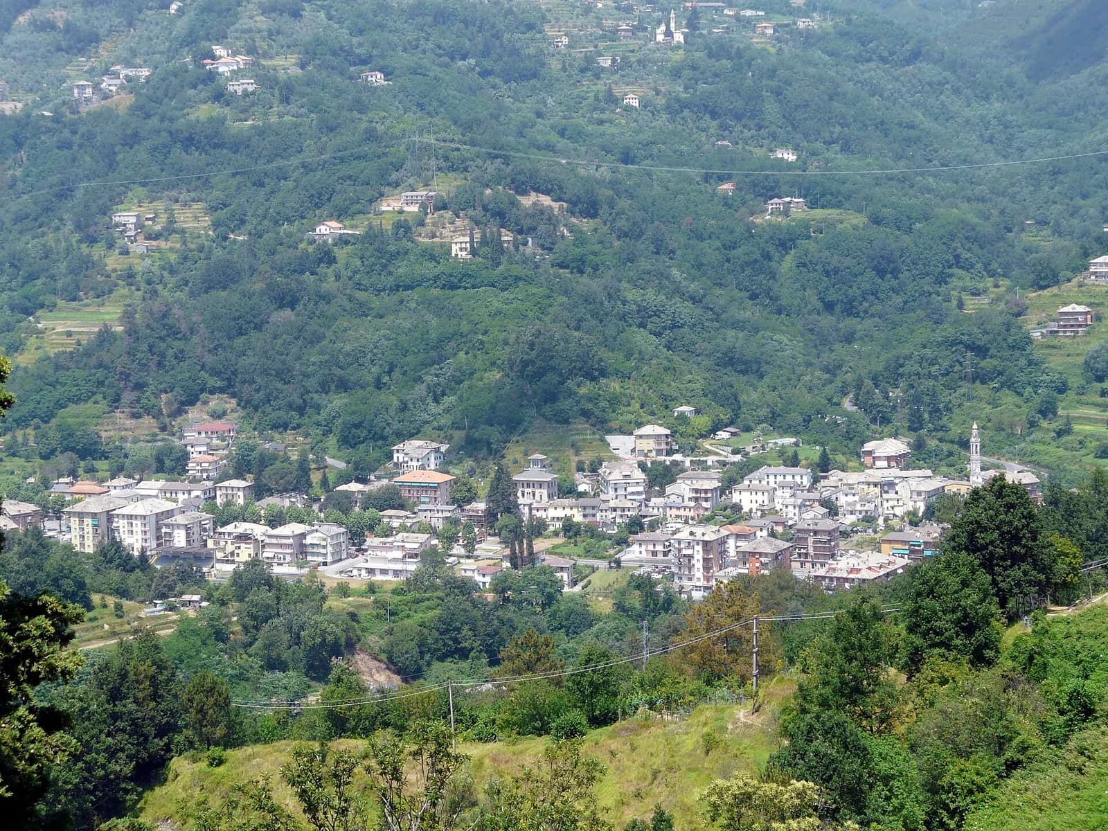 Moconesi