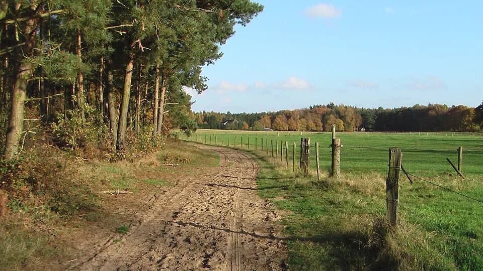 Stokkum