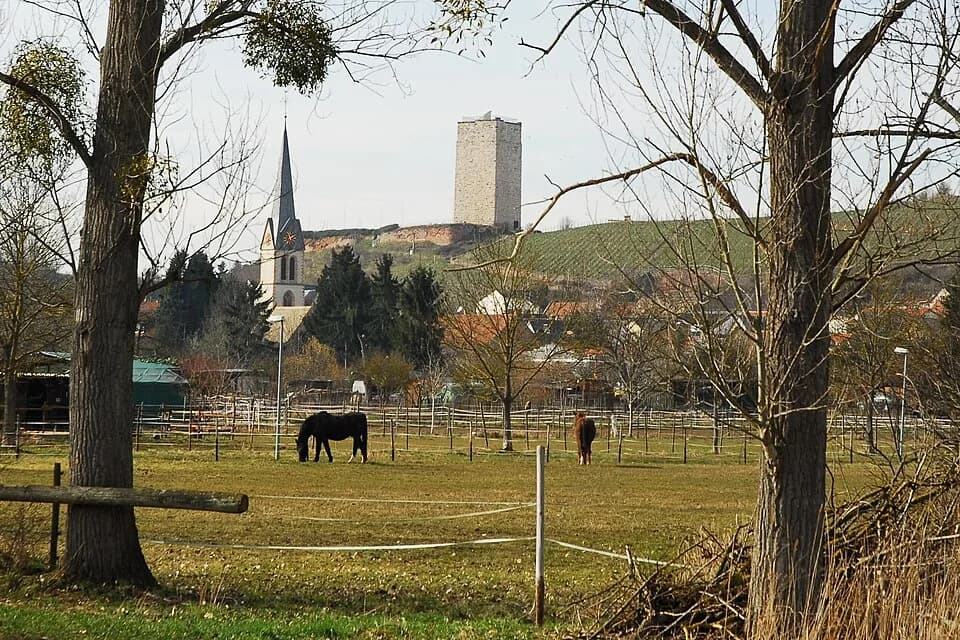 Schwabsburg