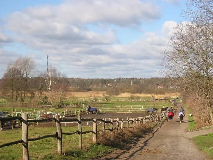 Barnim Plateau