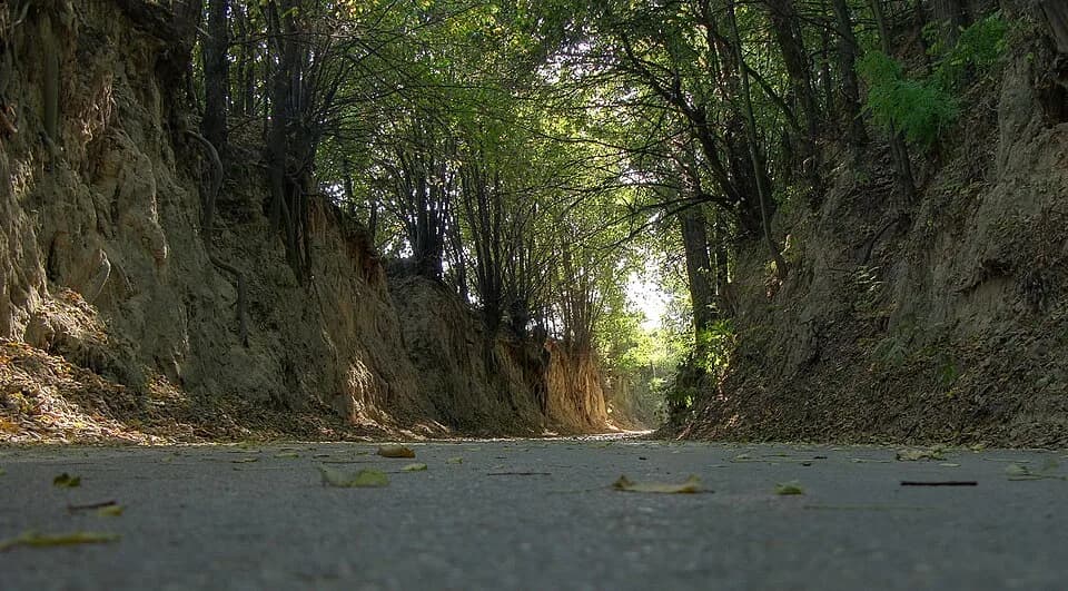 Gorzyczany