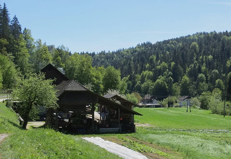 Dragovšek