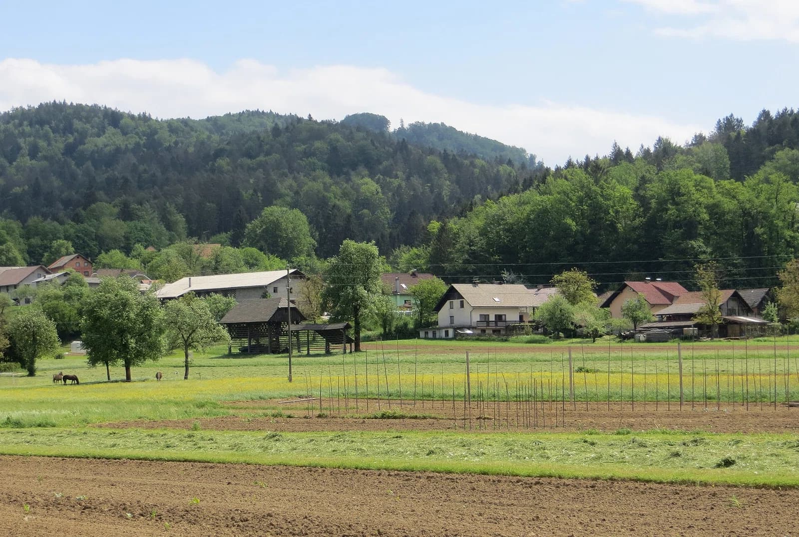Tenetiše