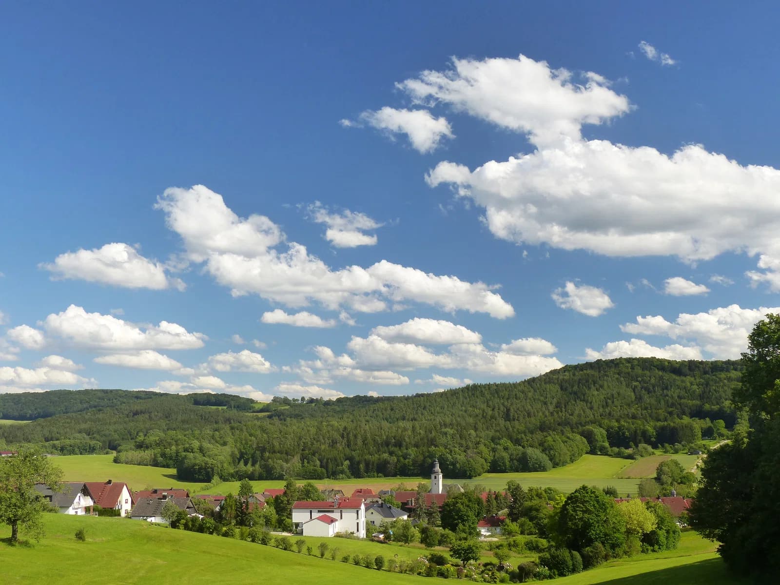 Ahorntal