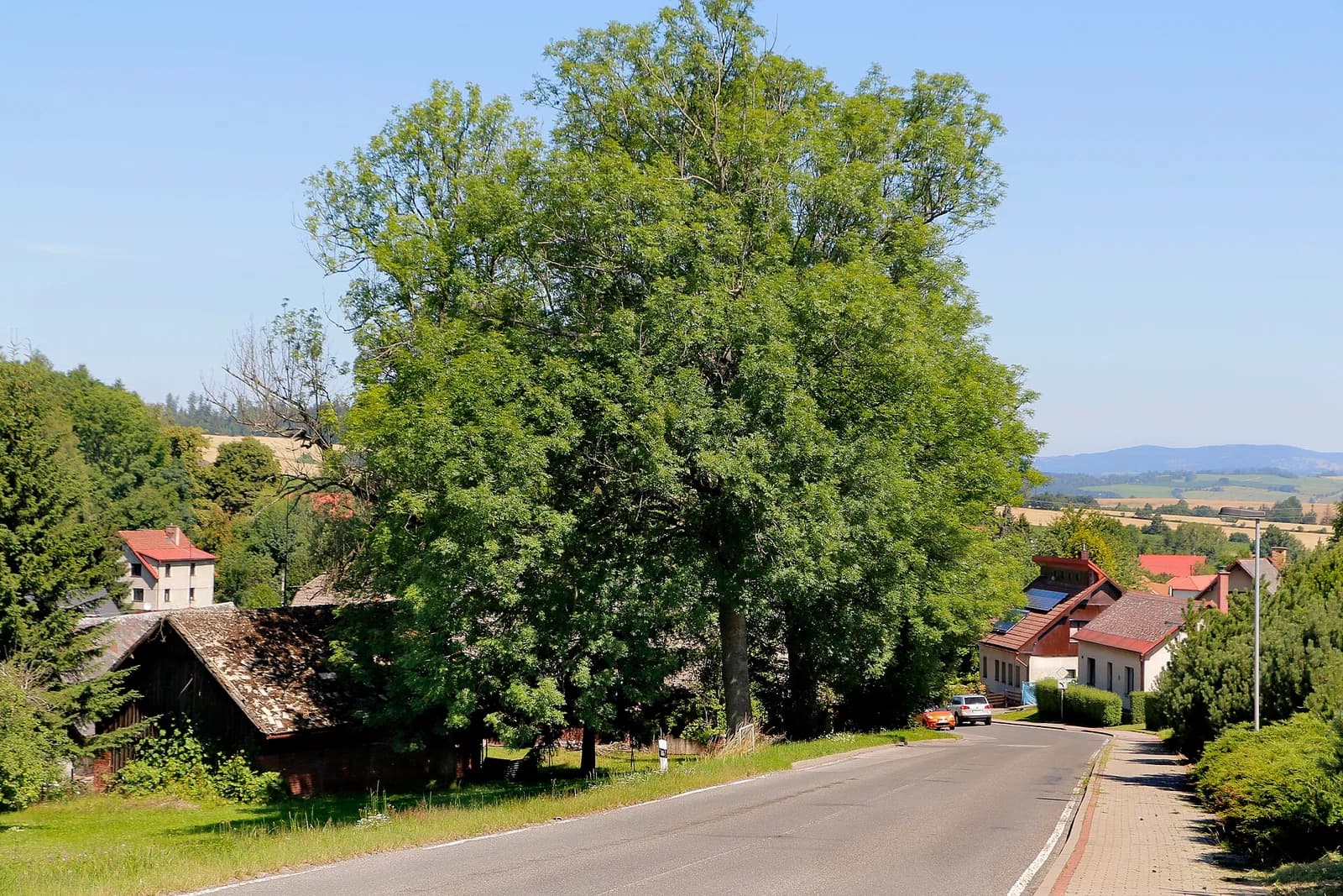 Stružinec