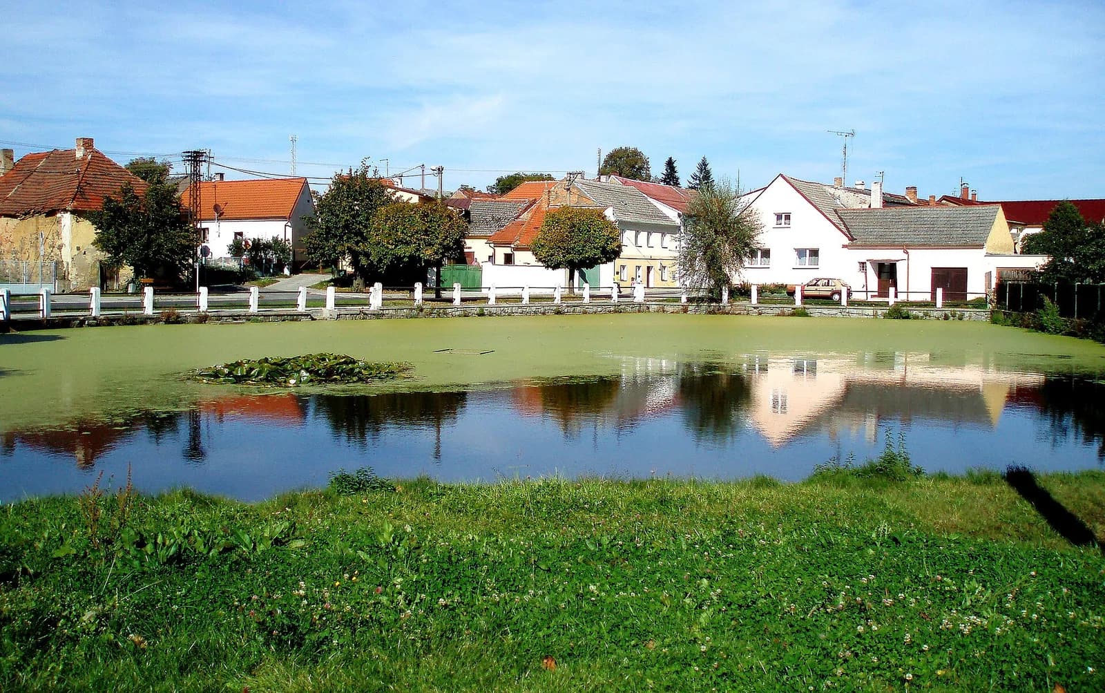 Koloveč