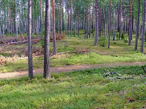 Bezhanitsky District