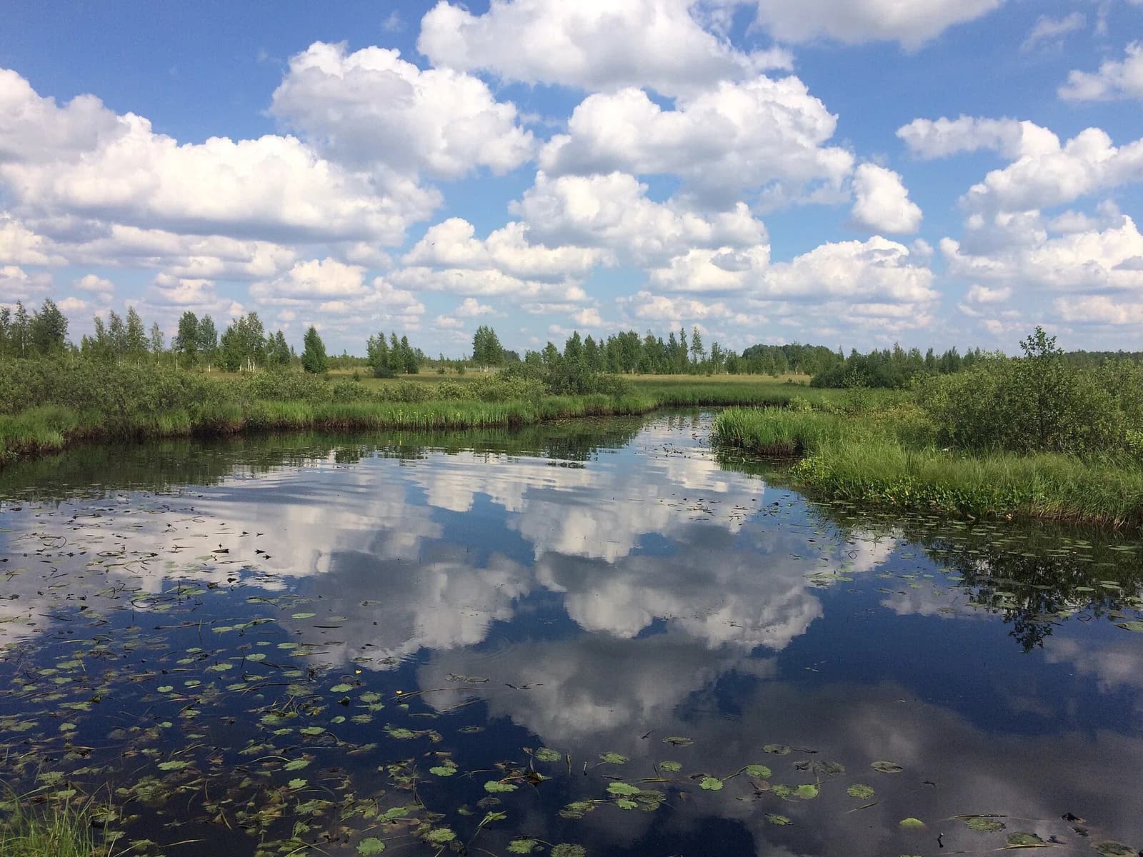 Loknyansky District