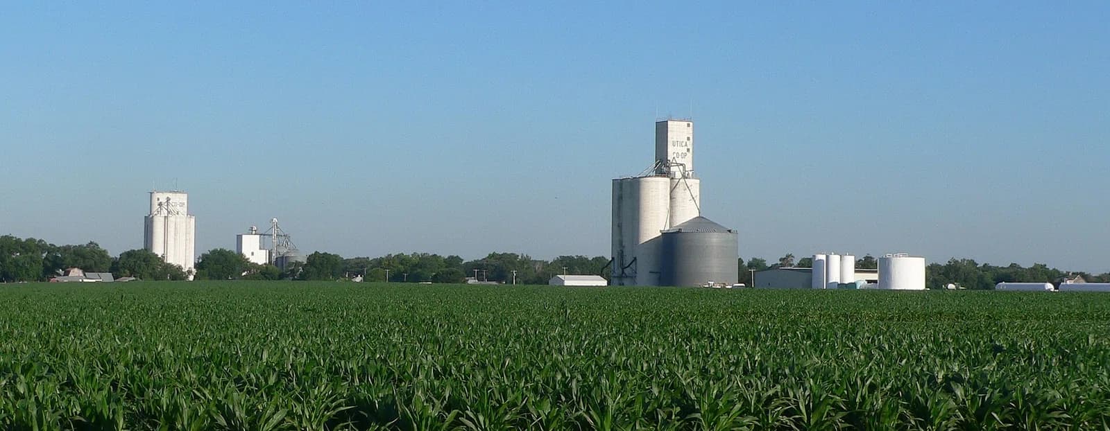 Utica