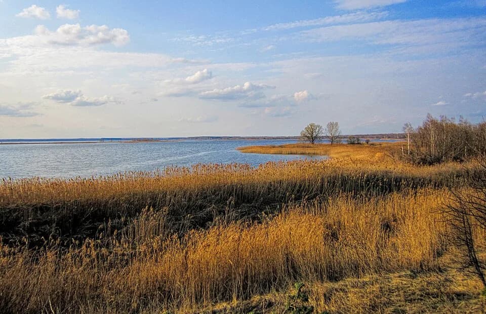 Gordeyevsky District