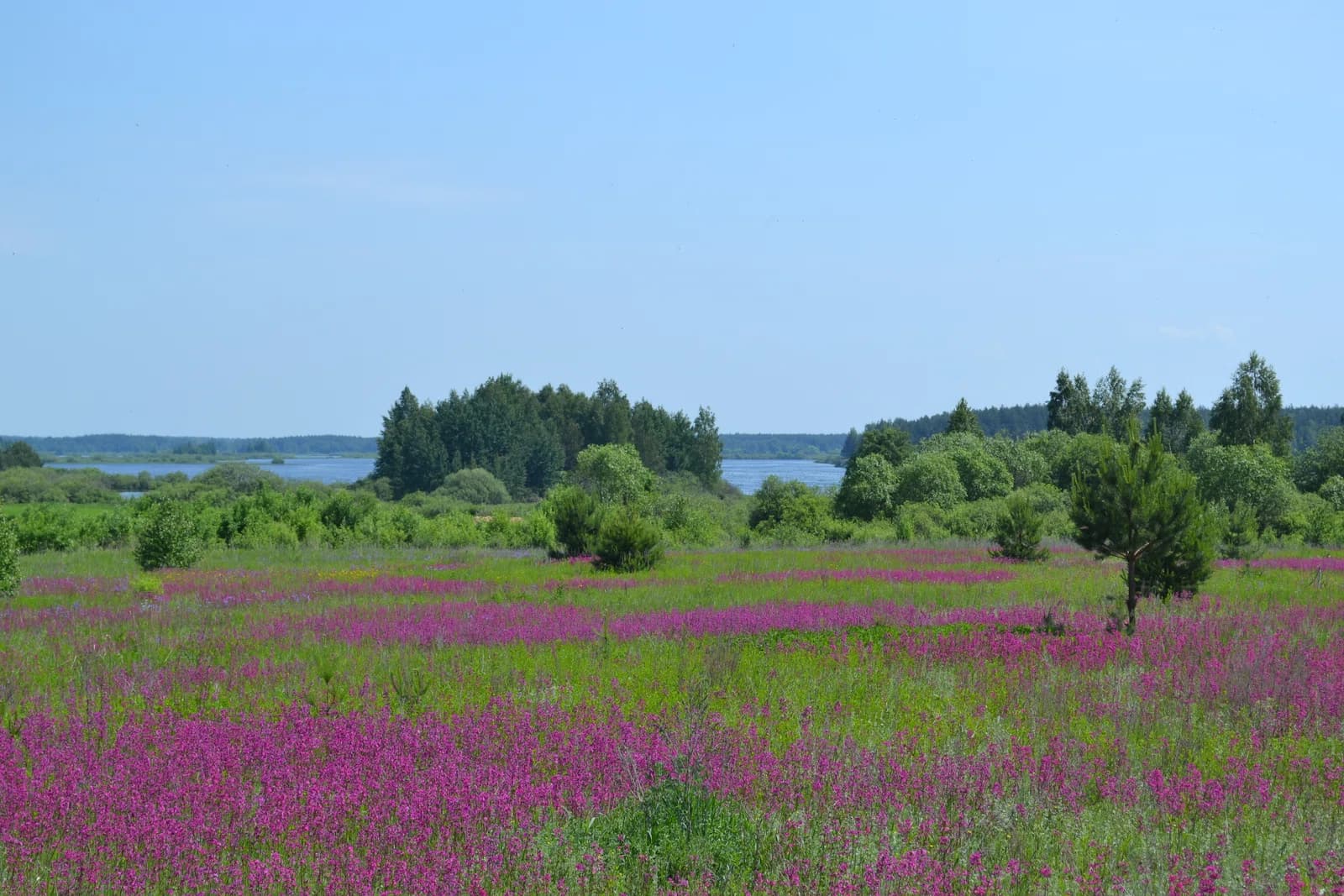 Shatursky District