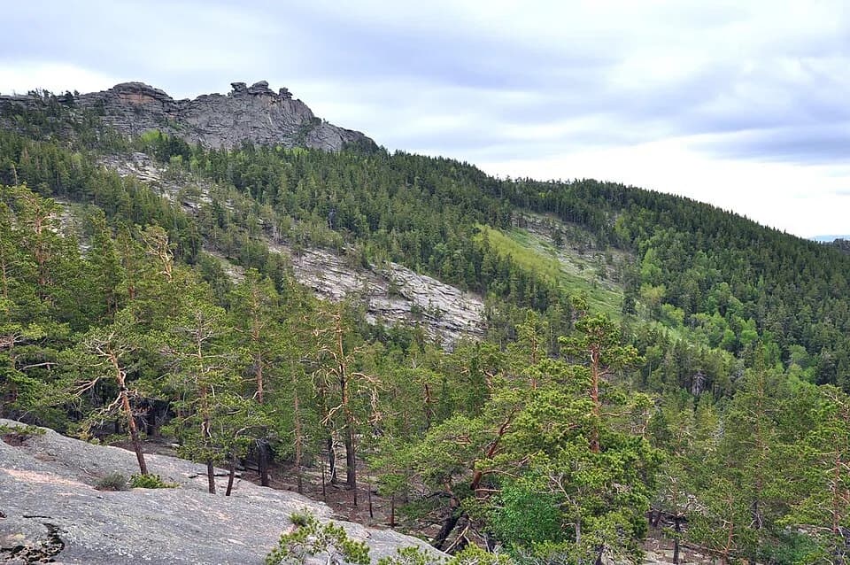 Karkaraly District