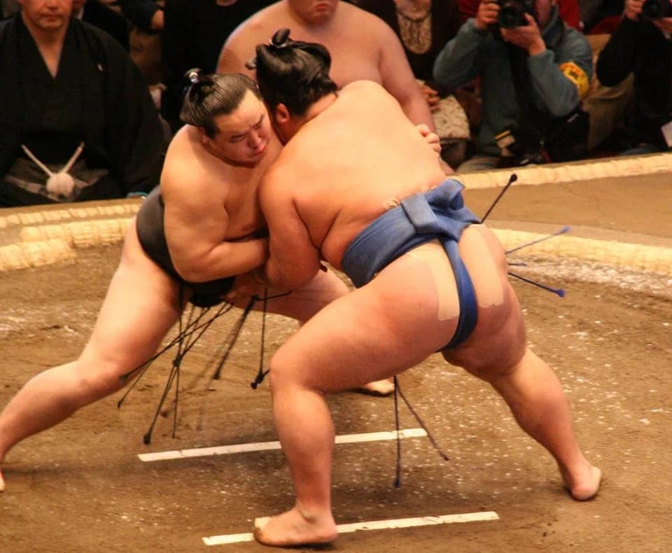 rikishi