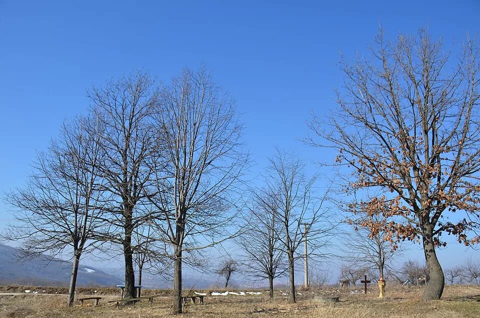 Bukorovac