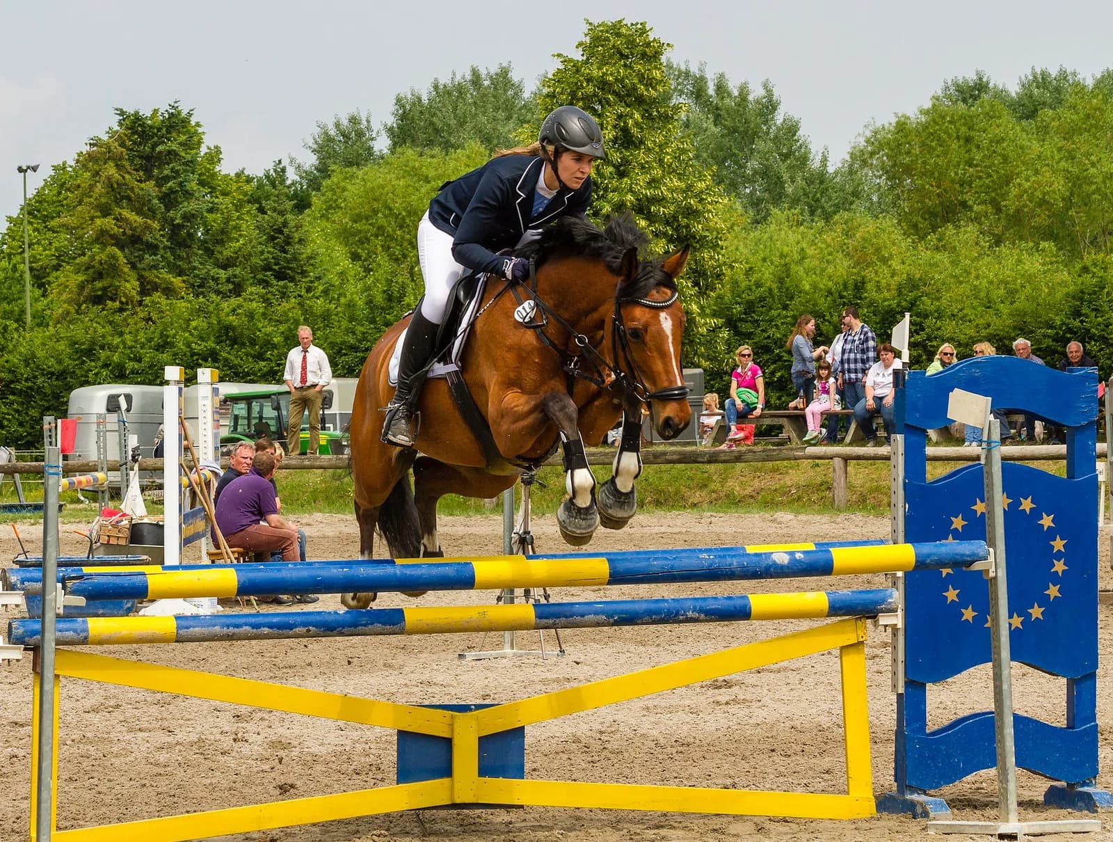 equestrian