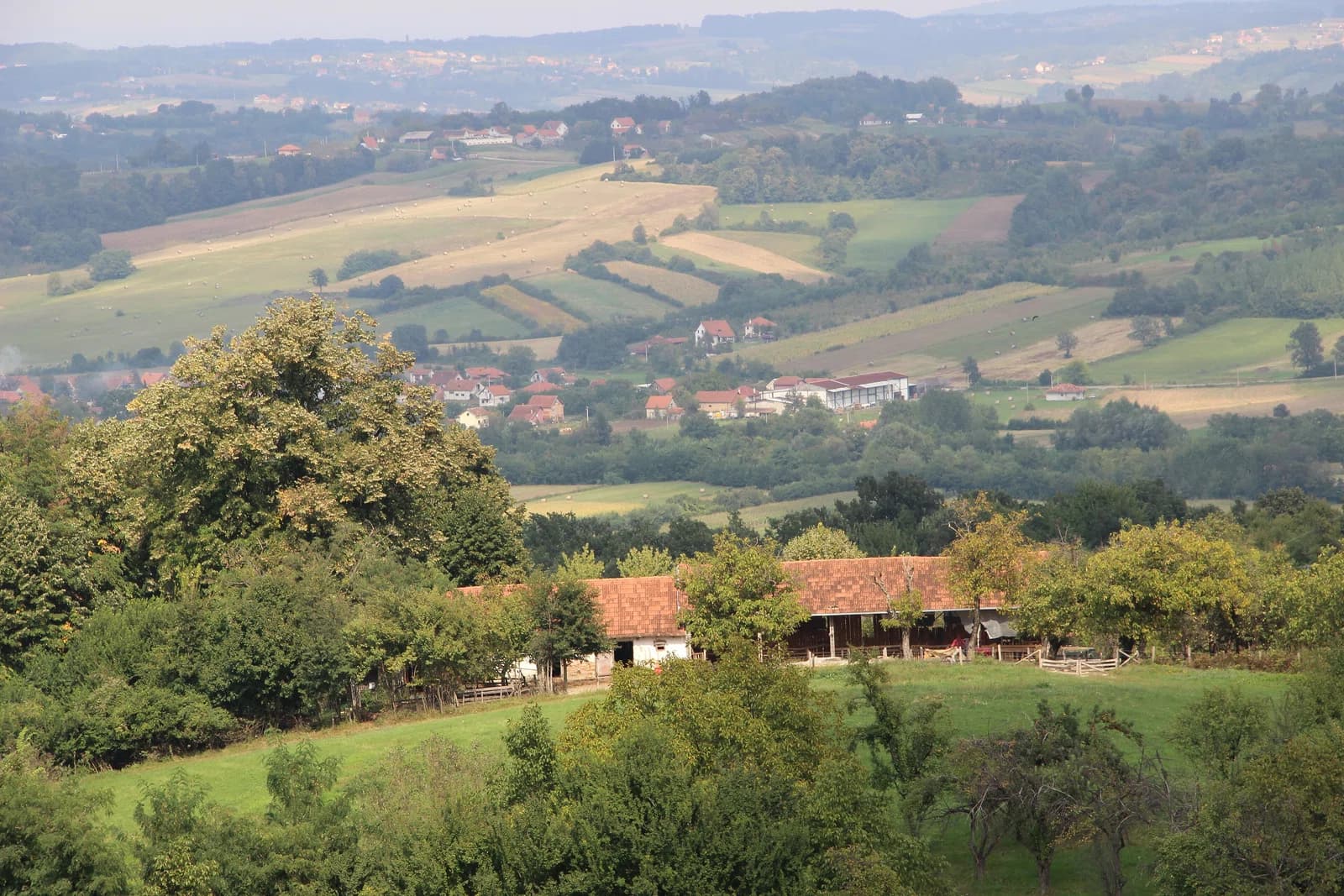 Paštrić