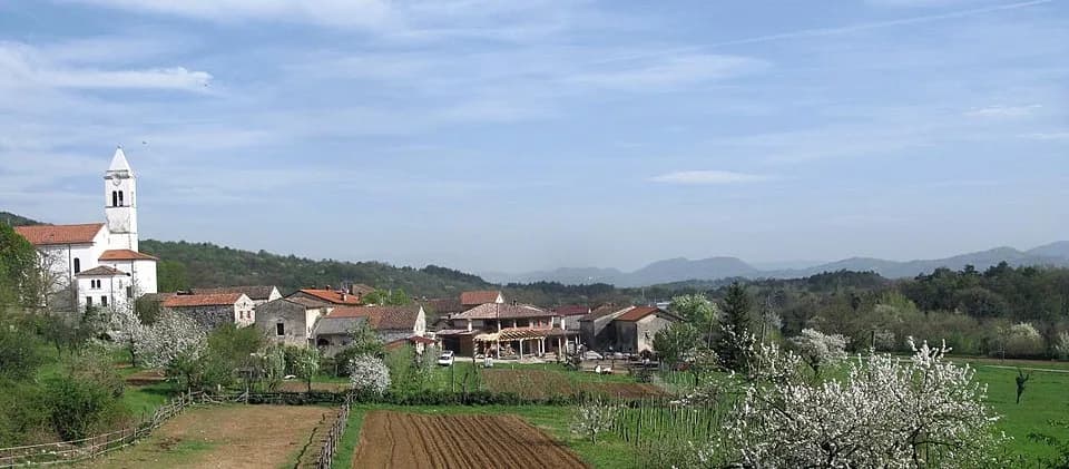 Črniče