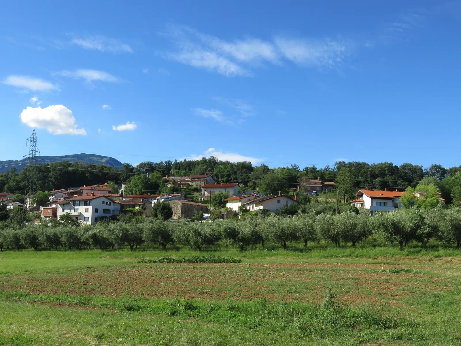 Plače
