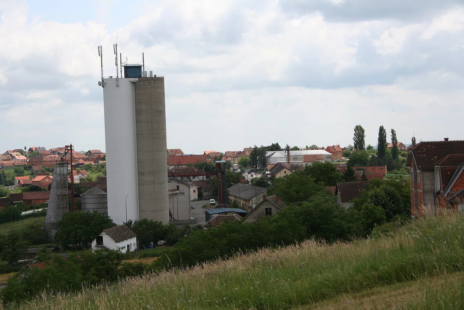 Draginje