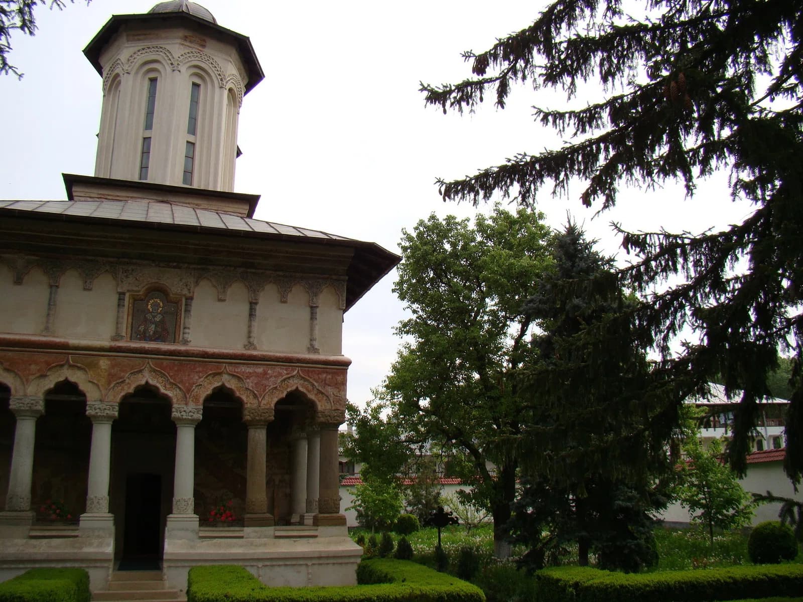 Nuci