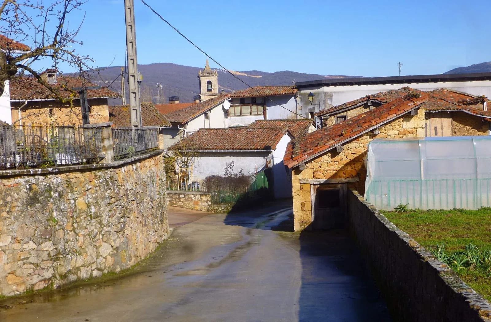 Apellániz