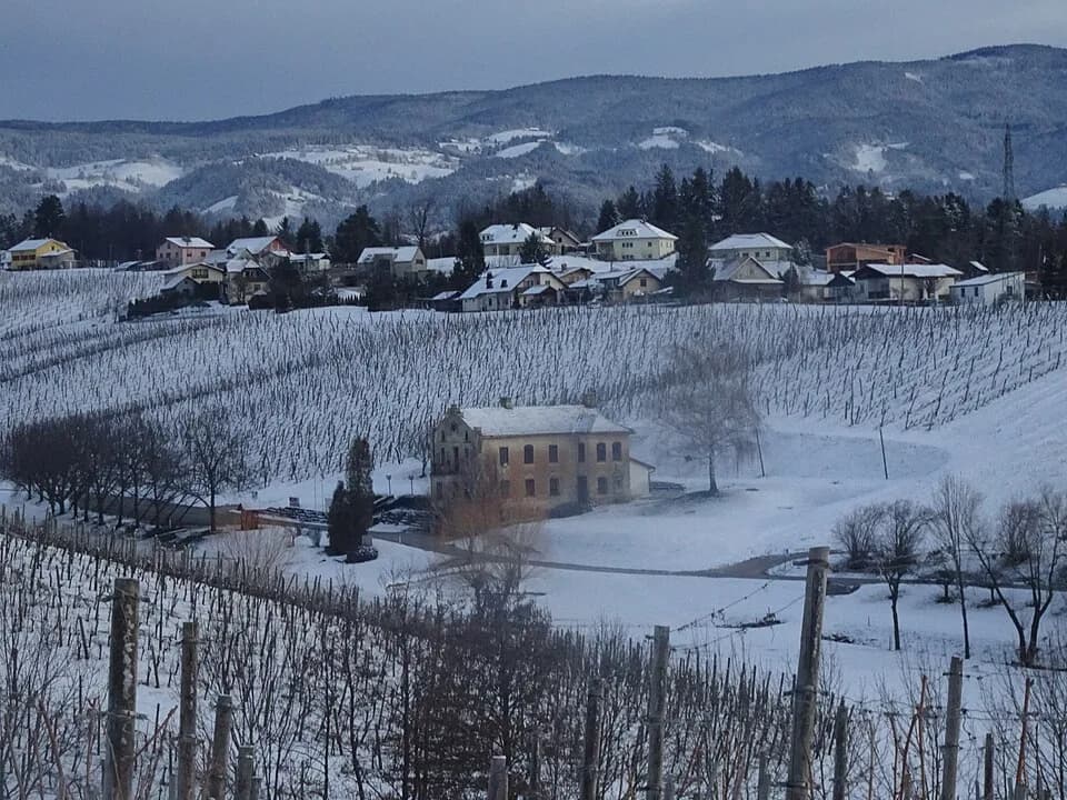 Škalce