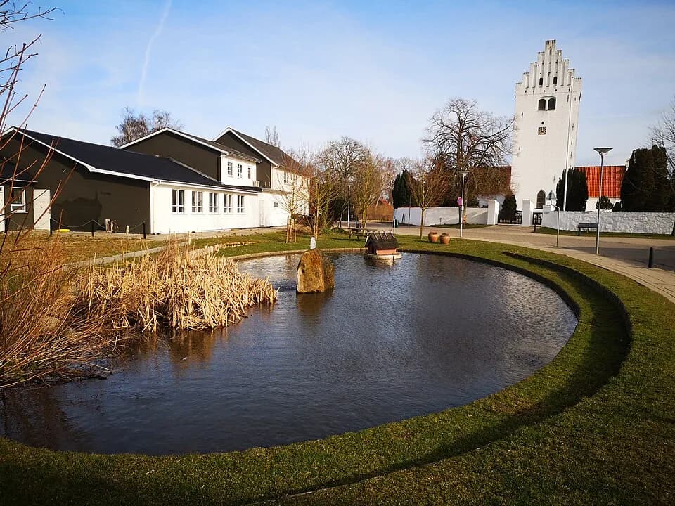 Vig