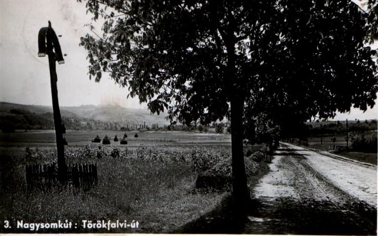 Șomcuta Mare
