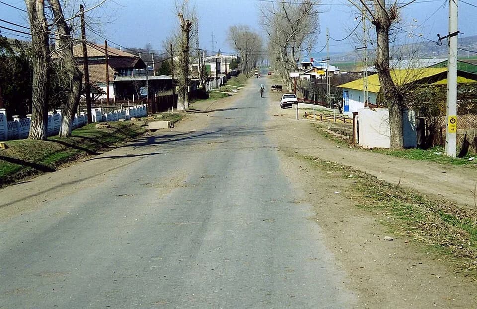 Murgeni