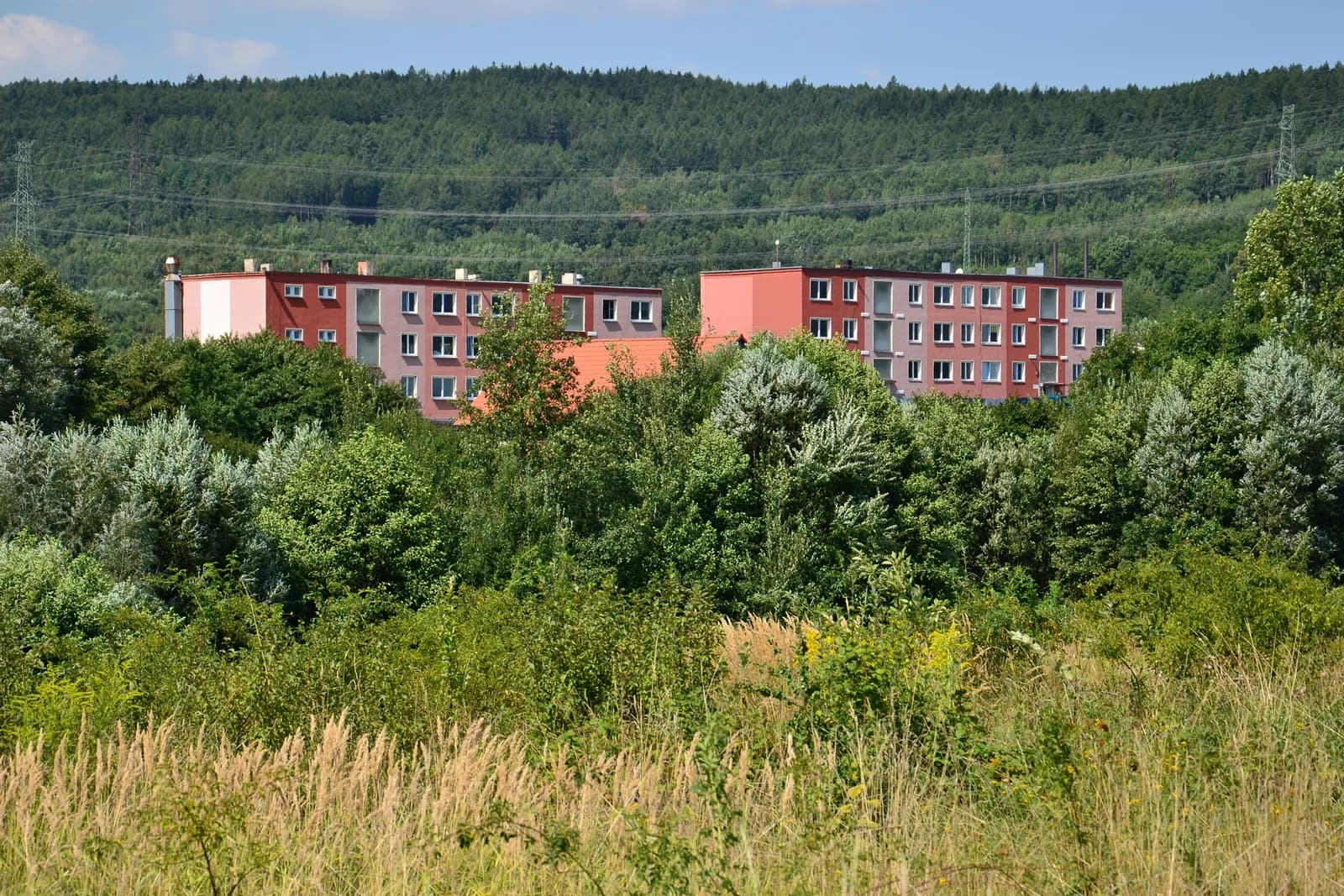 Vernéřov