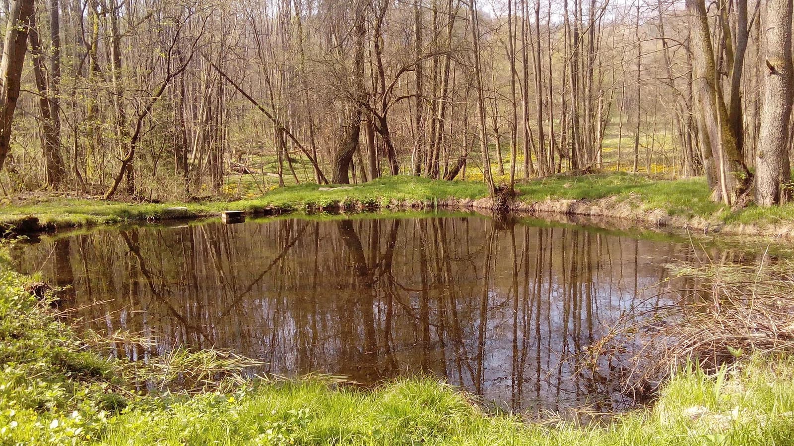 Fichtenbach