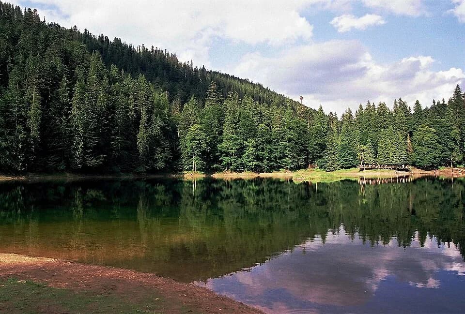Mizhhiria Raion