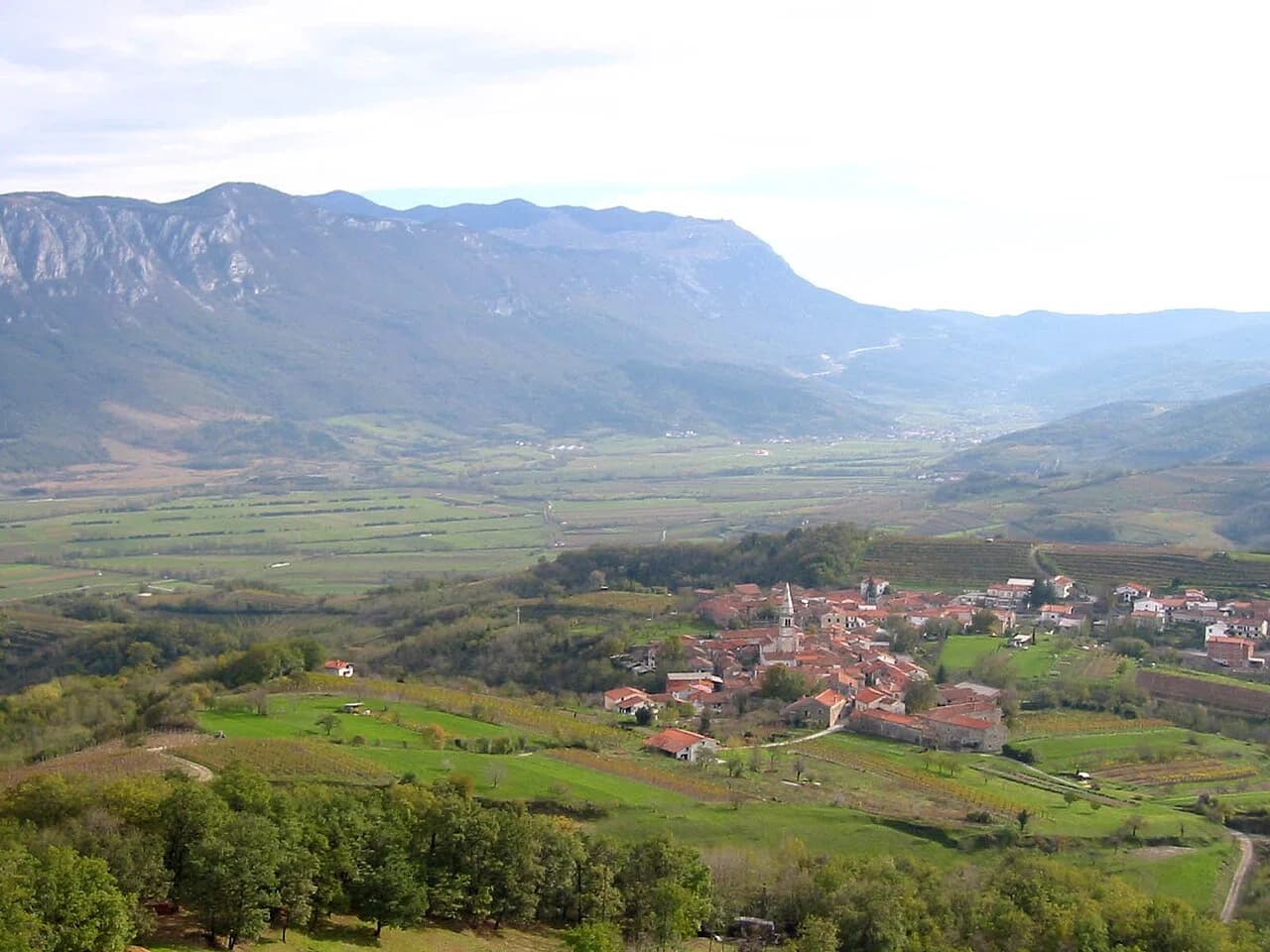 Goče