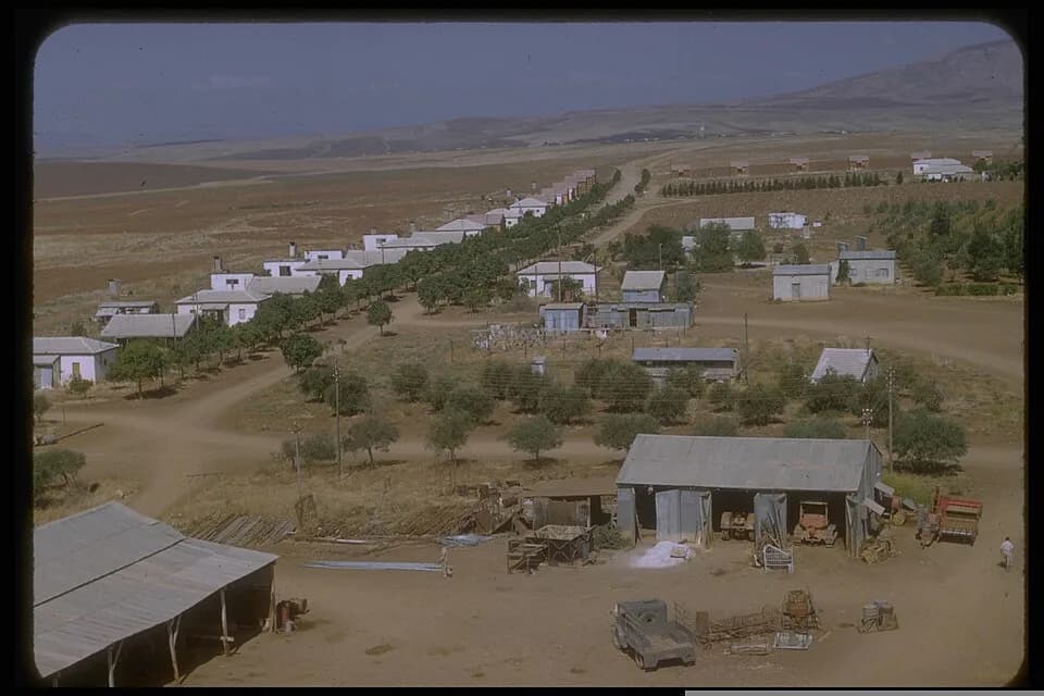 Moledet