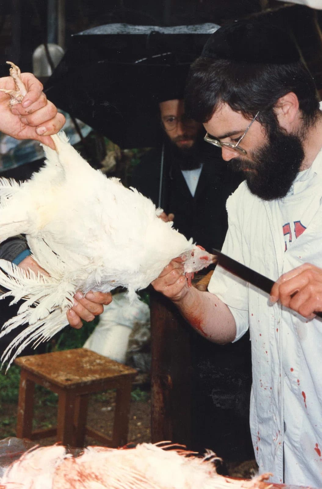 kosher slaughterer