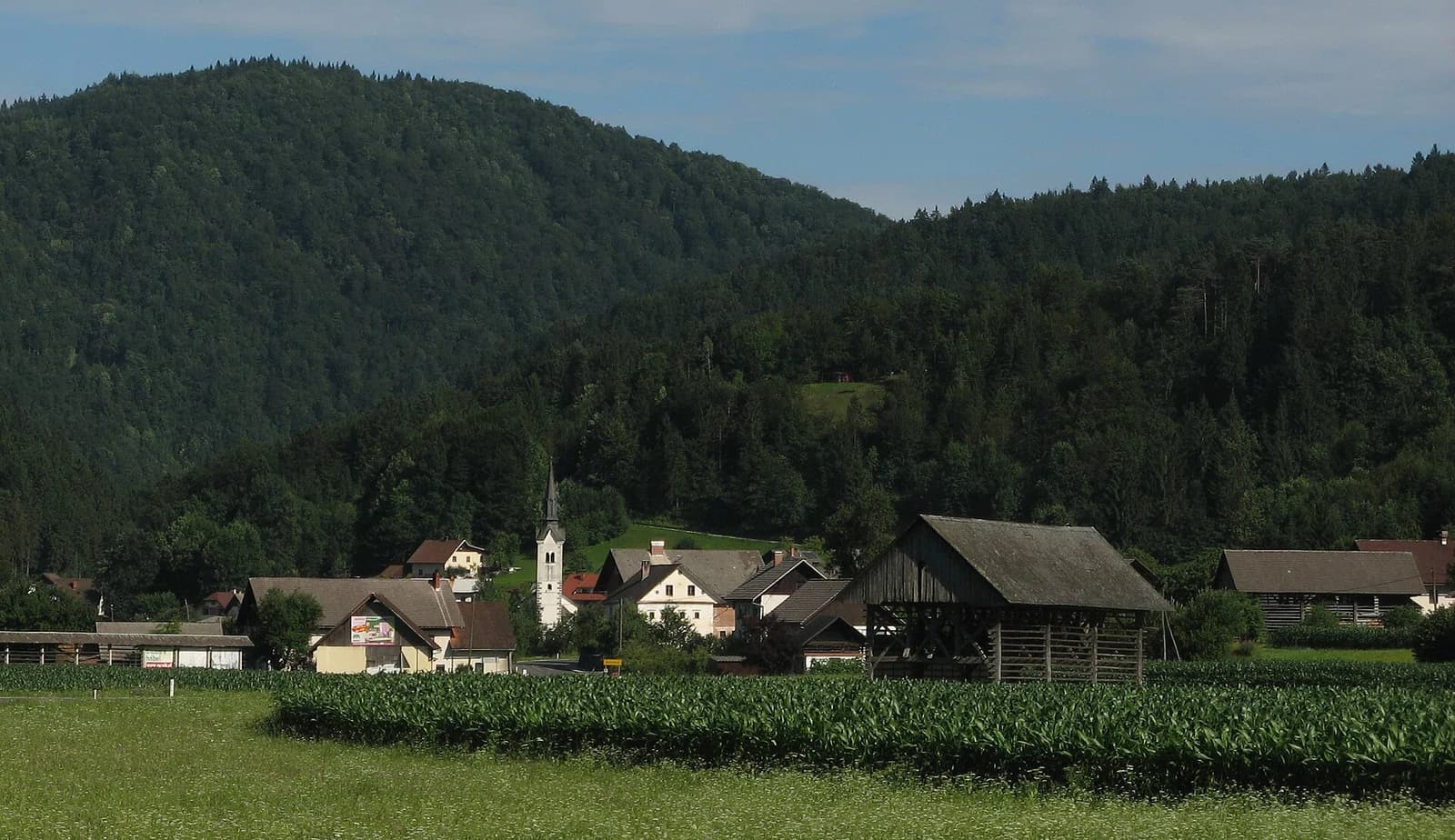 Bukovica