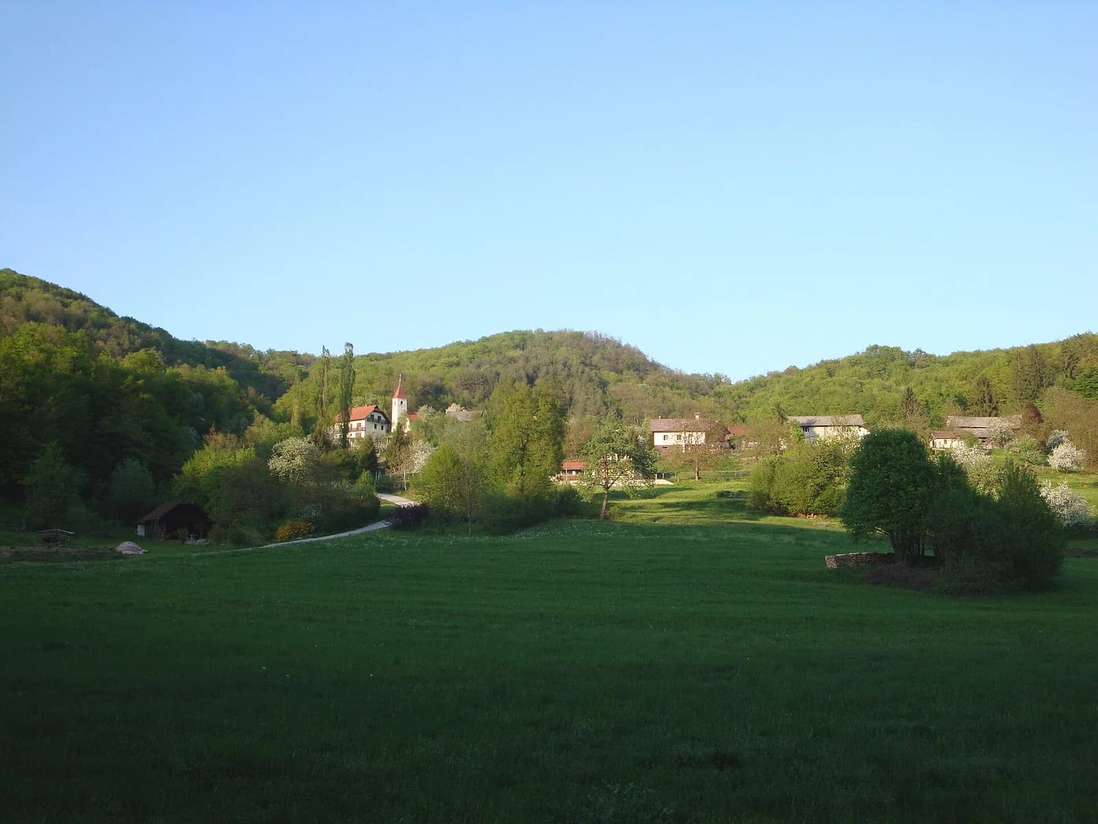 Močvirje