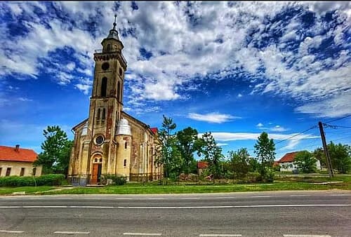 Țipari