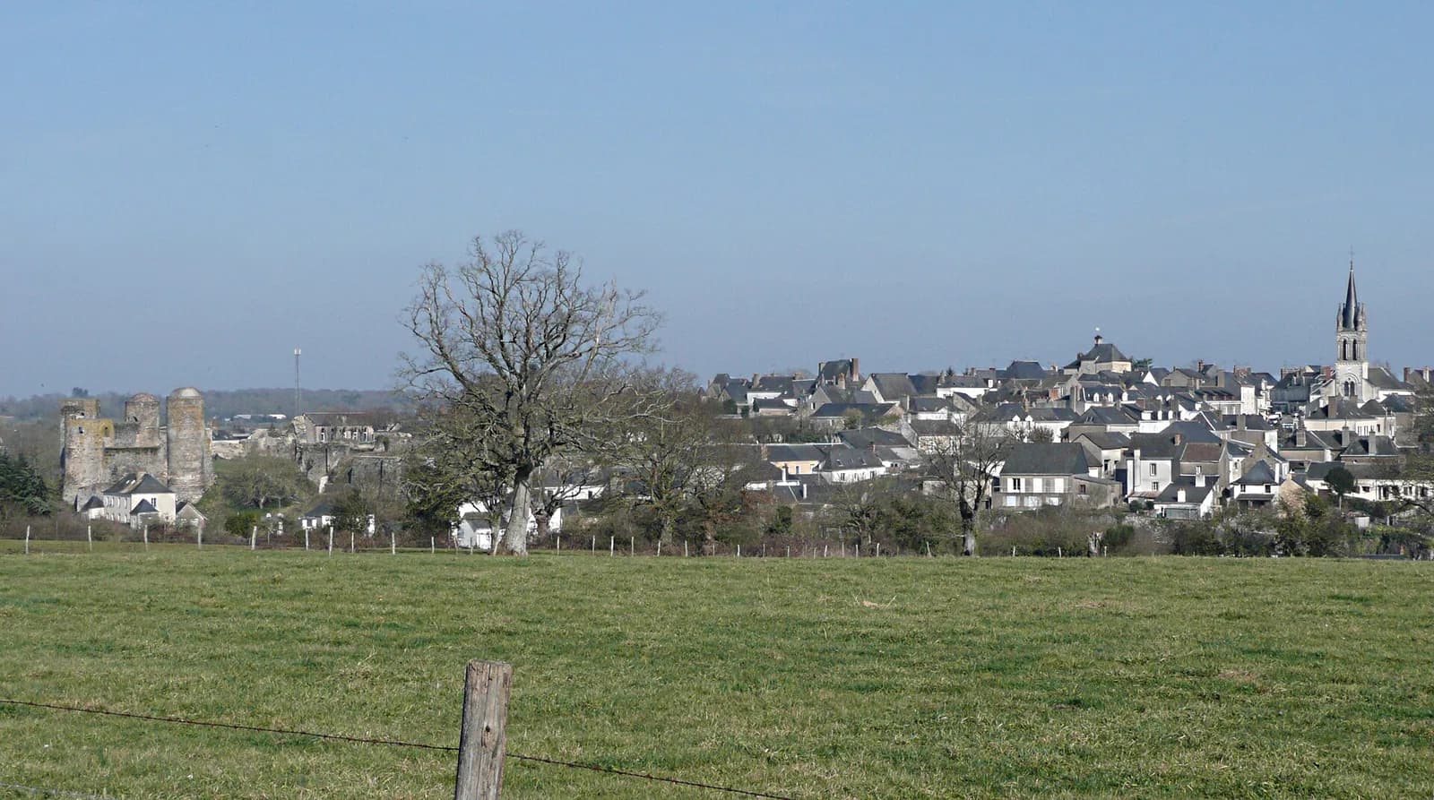 Ombrée d'Anjou