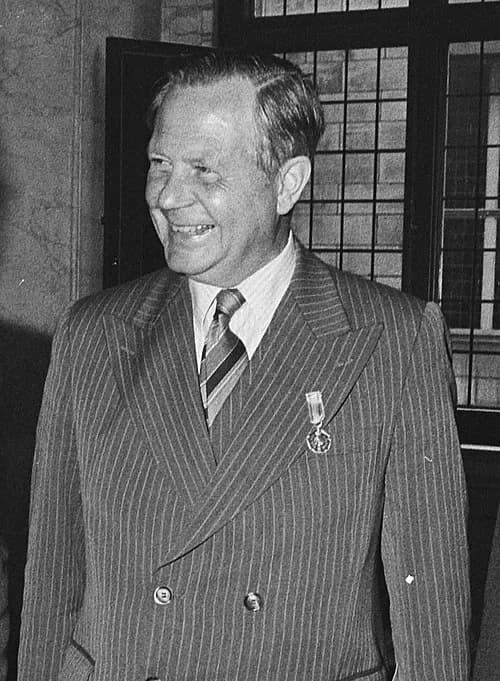 Zilveren Anjer