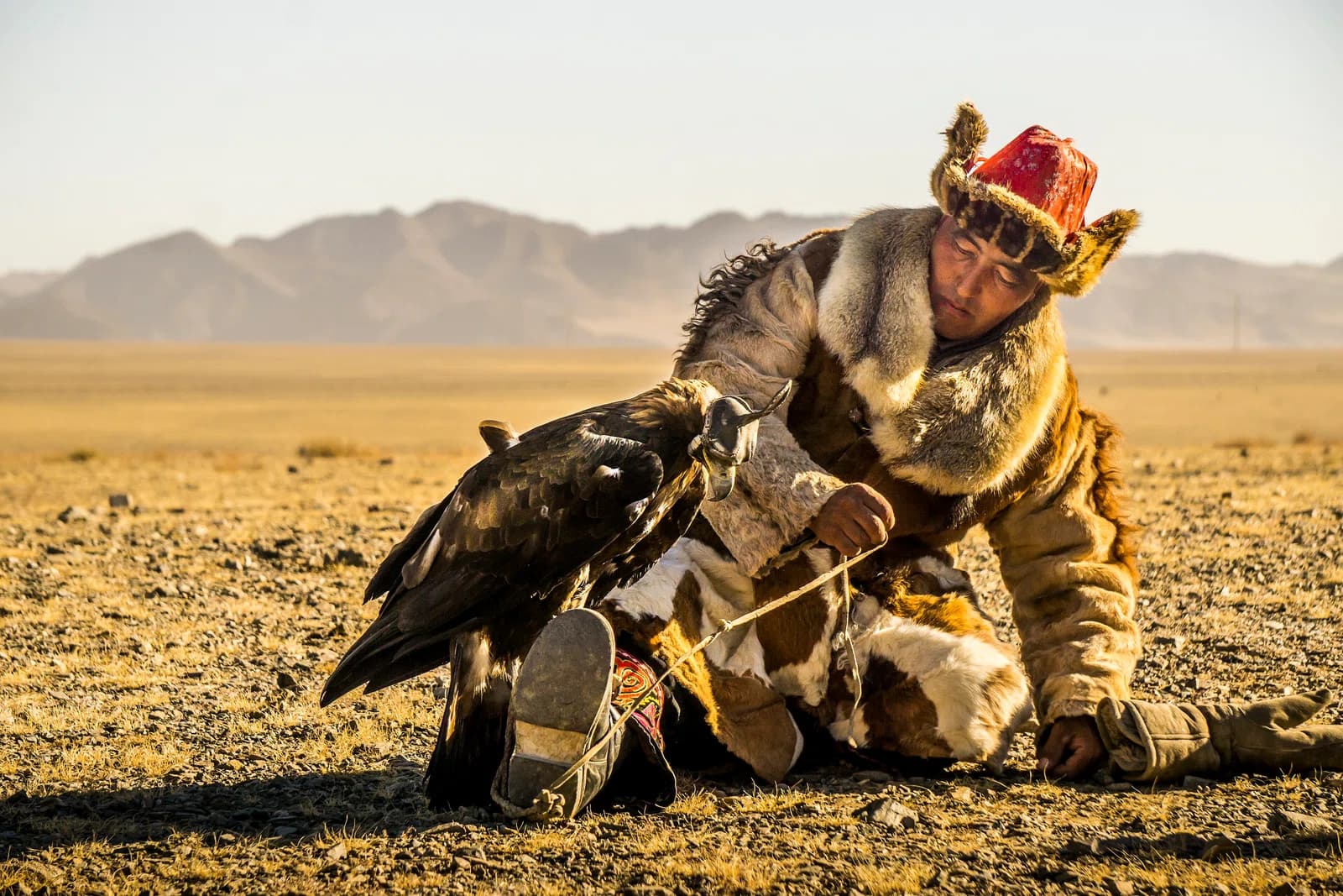 falconer