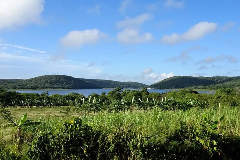 Báguanos