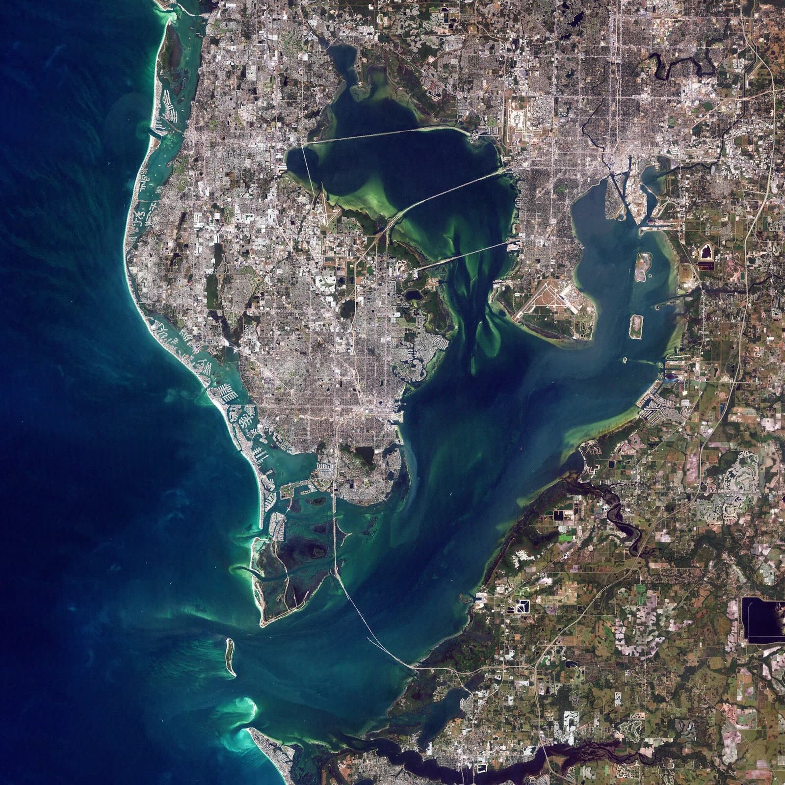 Tampa Bay Area