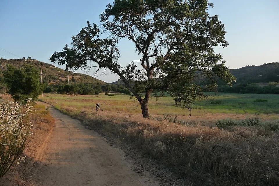 Valley Center