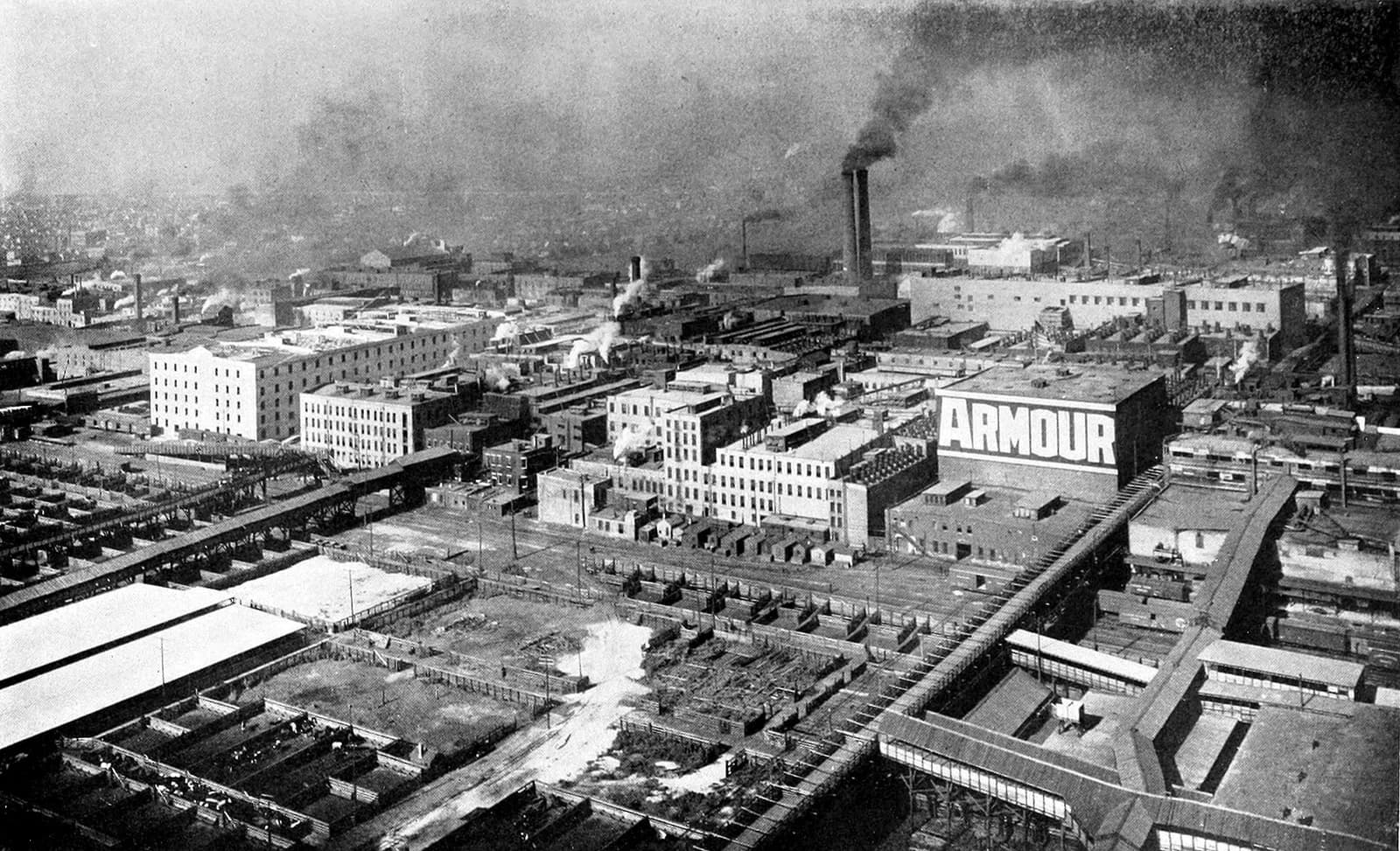 Armour and Company