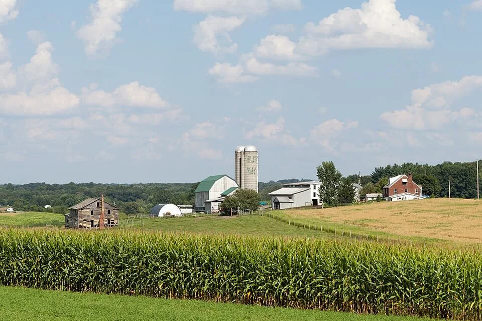 Jefferson Township