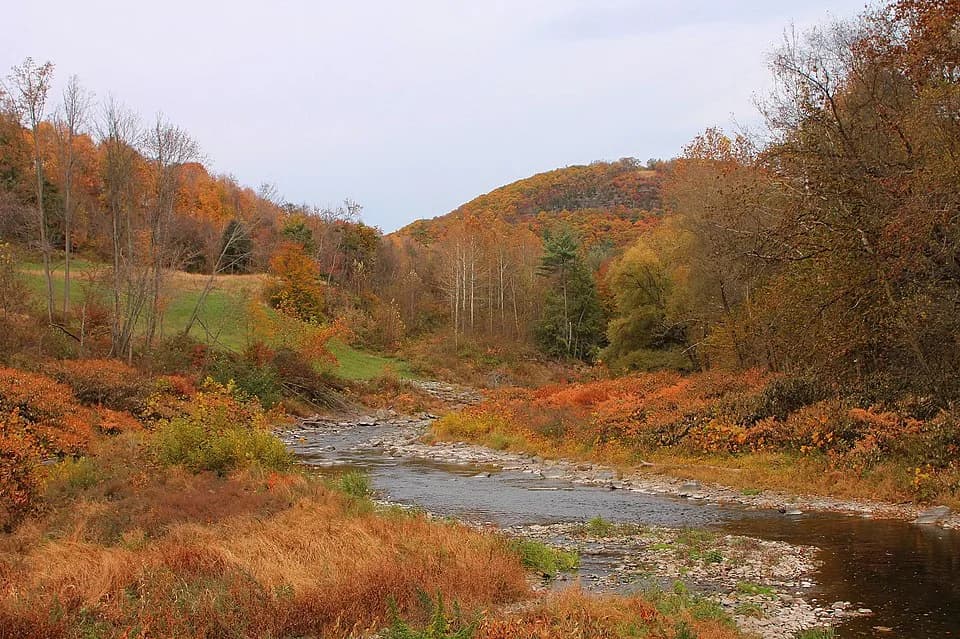 Eaton Township